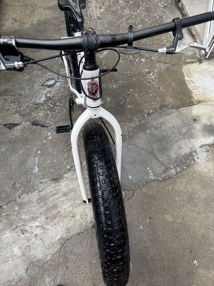Fat Bike Pegasus