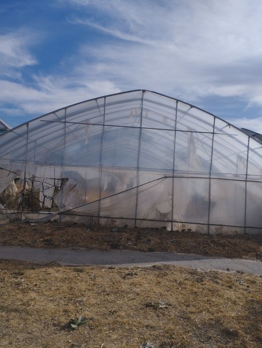 Теплица в хорошем состоянии