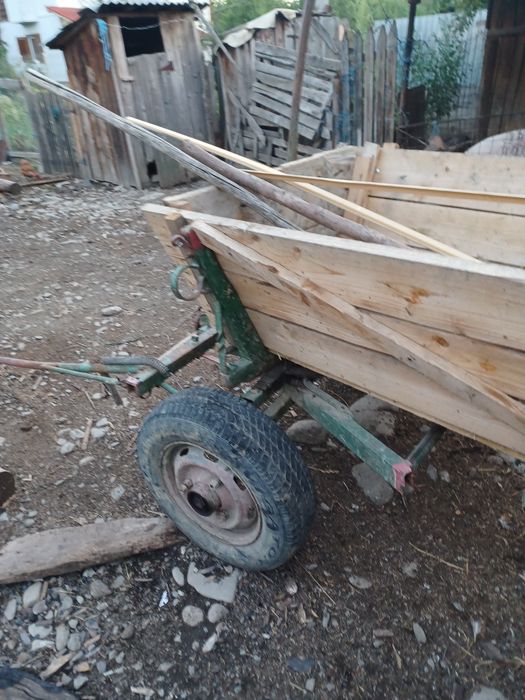 Căruț cu frîne pe spate