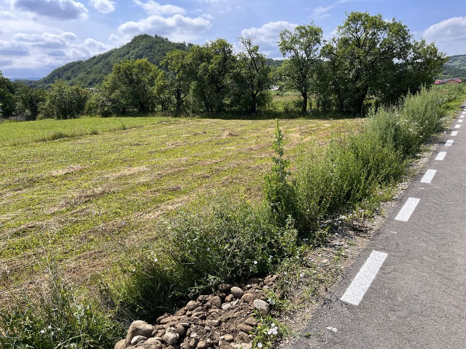 Teren intravilan 1400 mp, Dofteana, jud. Bacău.