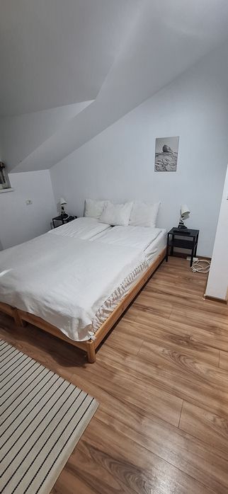 Vila Voyage busteni