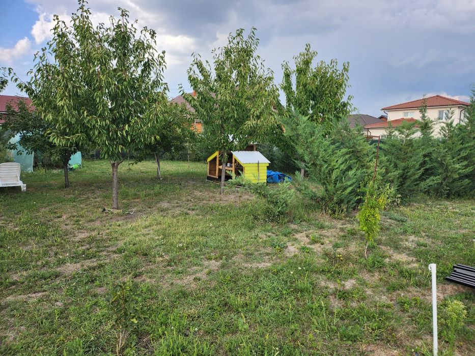 Teren intravilan Bujac