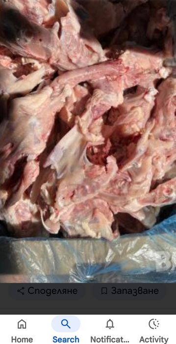 Пилешки фенери за животни