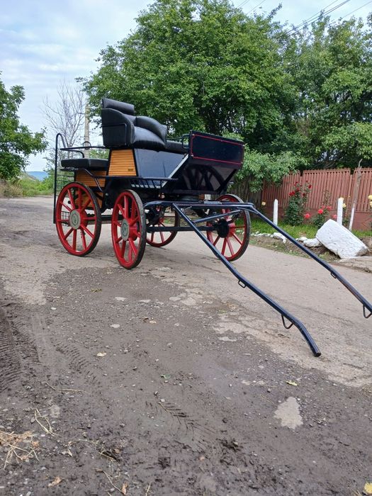 Trăsură 4 locuri