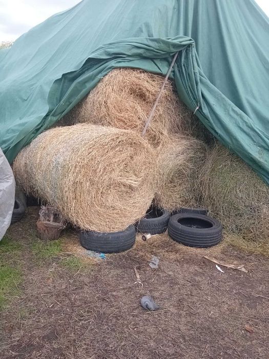 Vand baloti de lucerna