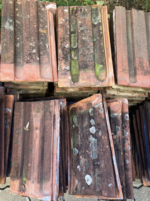 Tigla Jimbolia model 253