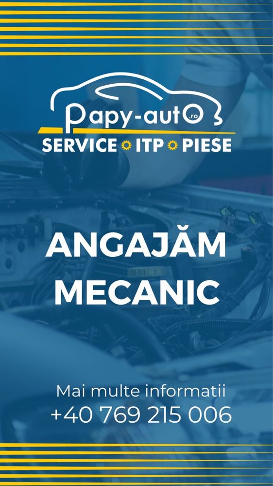 Papy auto branesti