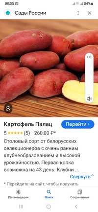 Продам семянной картофель