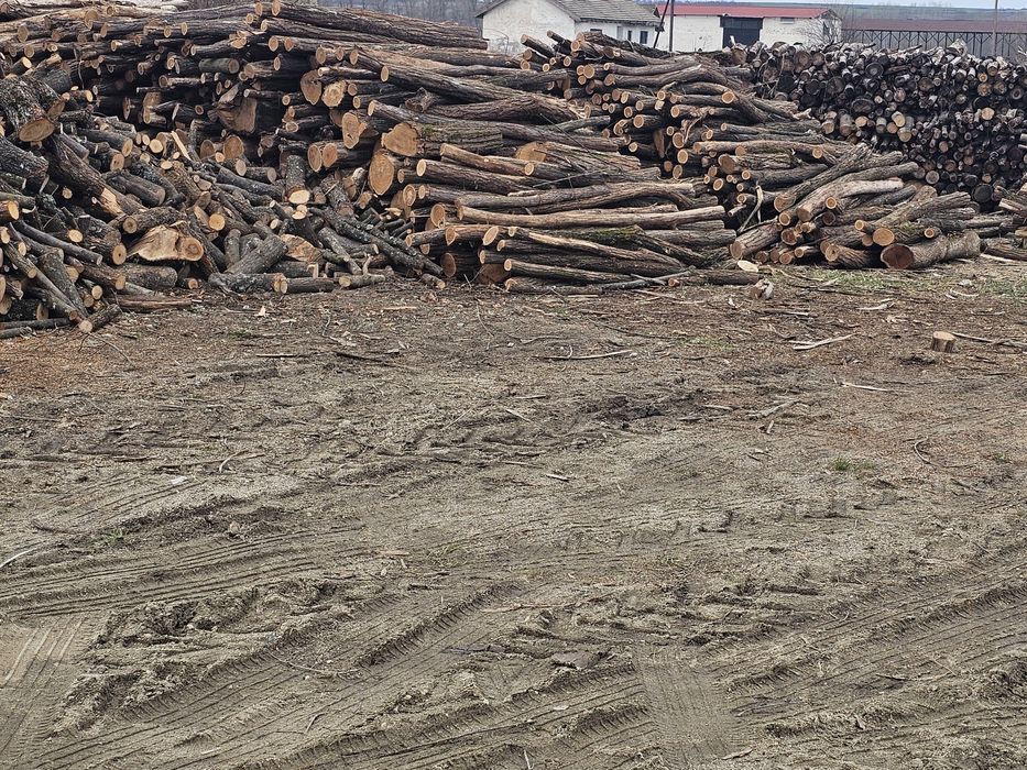 Lemn foc, peleti, brichete, cherestea