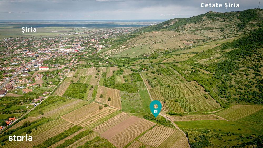 Teren extravilan - 3654 mp Dealul Șiriei