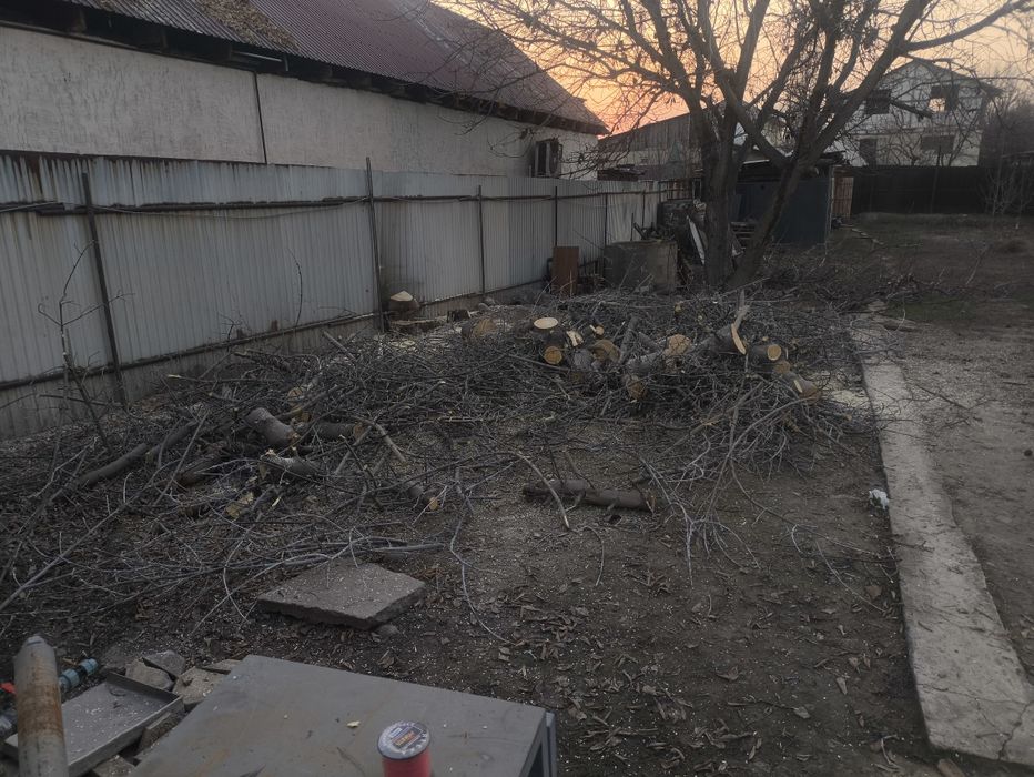 Дрова самовывоз поселок