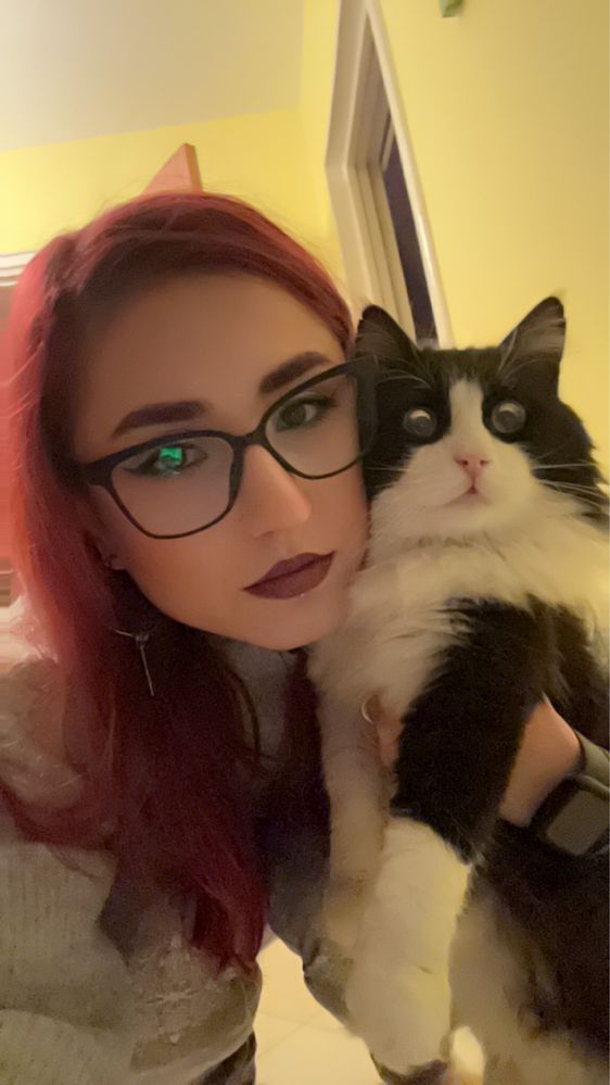 Ofer serviciu de cat sitting