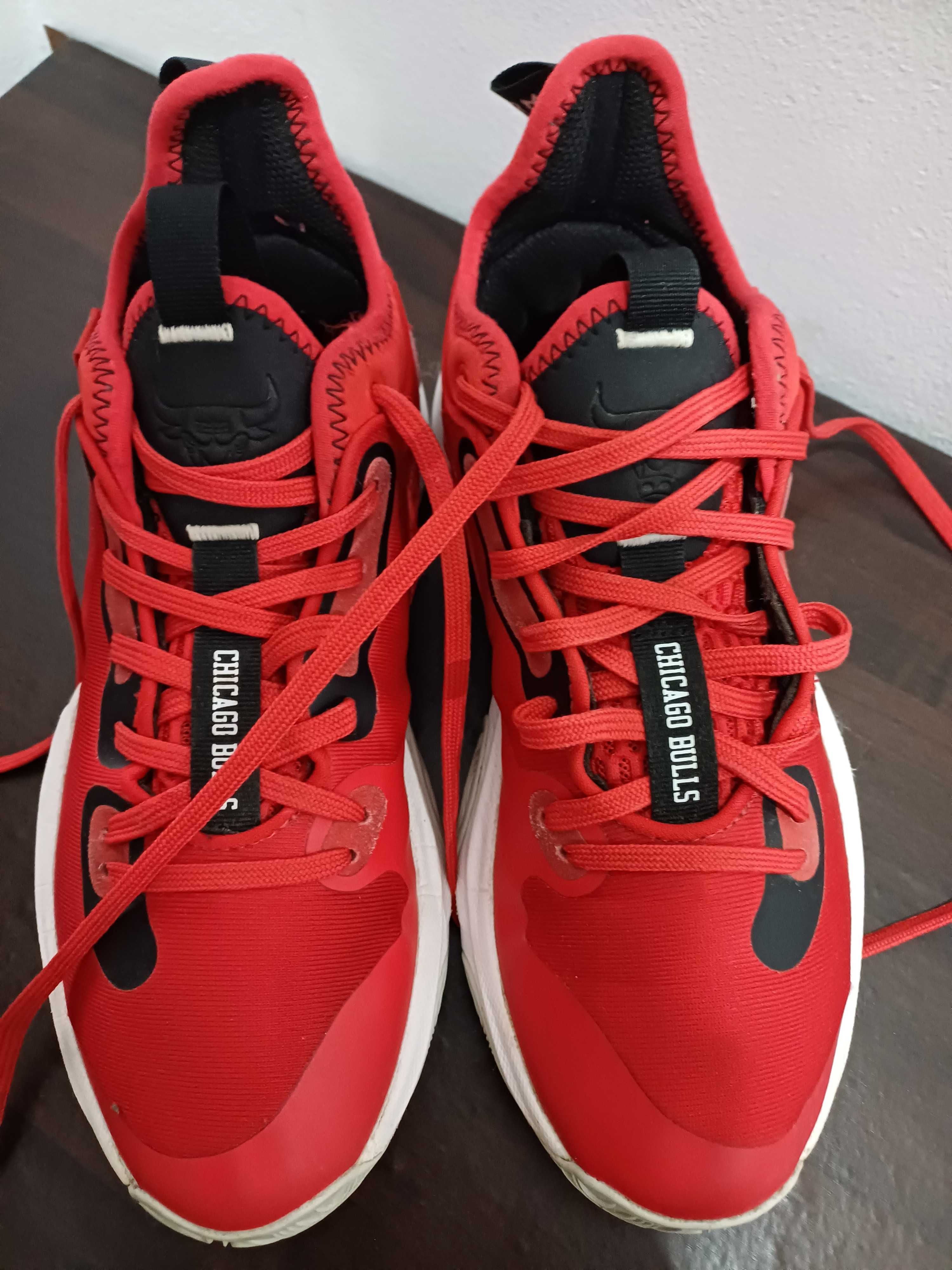 Ghete de baschet Chicago Bulls