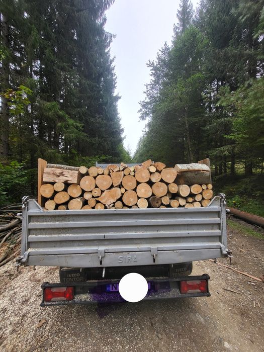 Lemne de foc Fag,esenta tare transport inclus