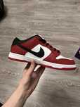 Nike Dunk Sb one size down