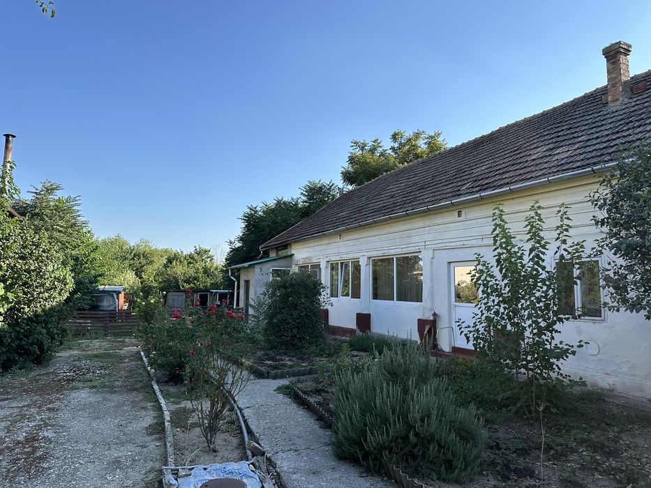 Casa cu 1300mp teren la soseaua principala in Becicherecu Mic