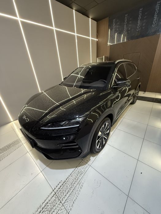 BYD Champion 2024 Restailing