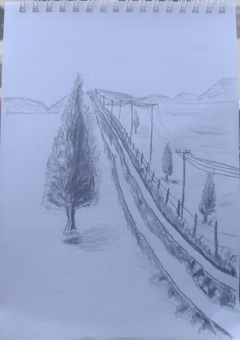 Oq qora rasmlar qalamda chizilgan