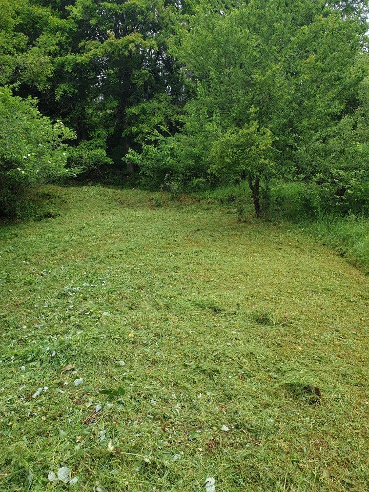 Косене на тревни площи и разчистване от нежелана растителност