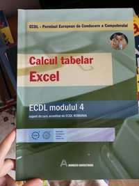 Manual ECDL Calcul Tabelar Excel
