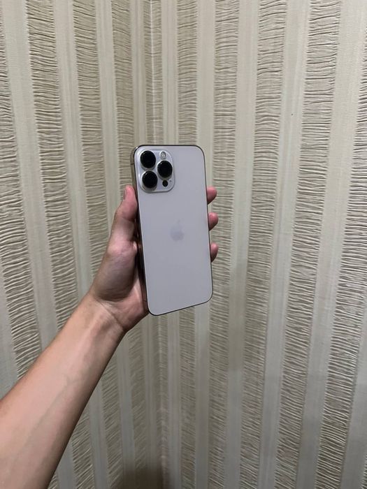 iPhone 13 Pro Max