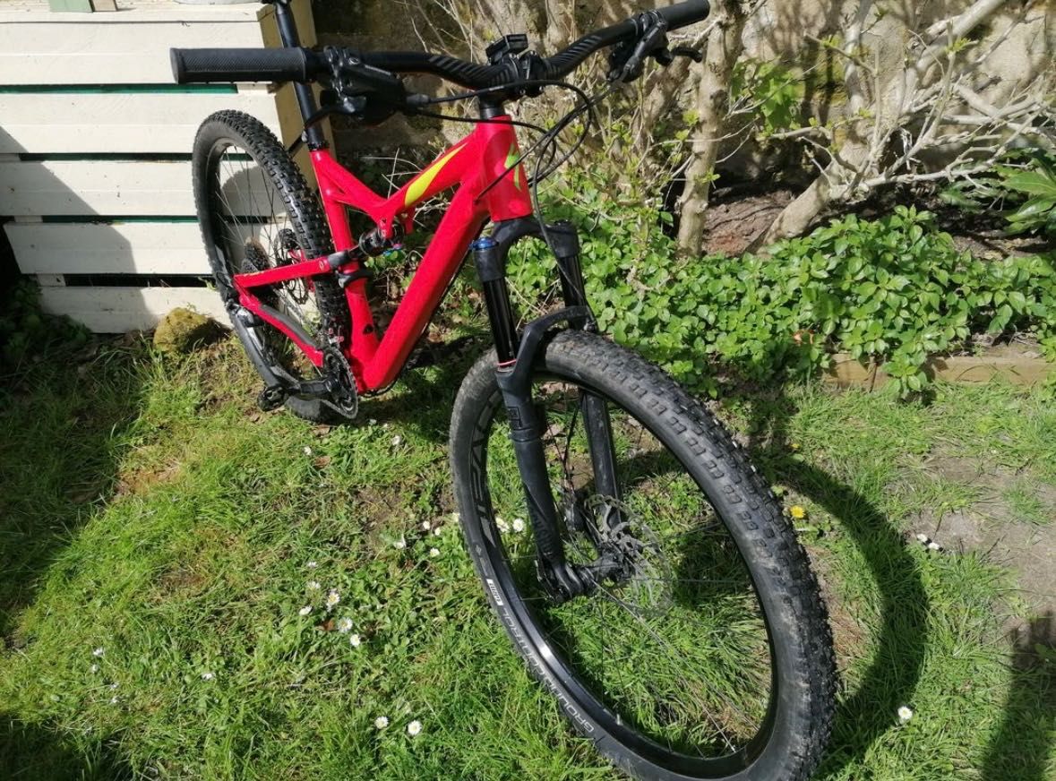 Specialized camber 29