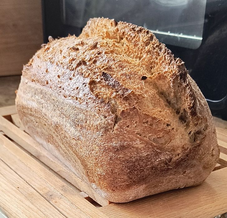 Maia naturala bio Lievito Madre din făină integrala și alba 550 eco