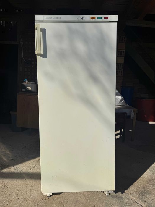 Вертикален фризер Snaige