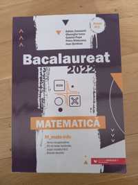 65 variante de bac + rezolvari 2022 mate info