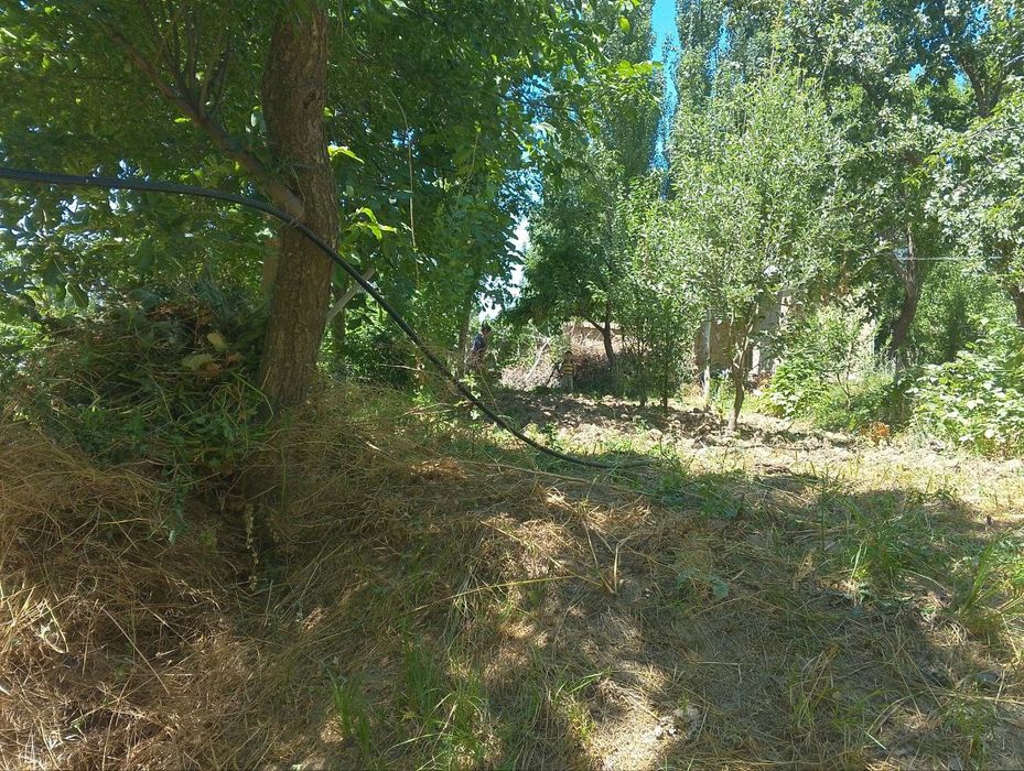 Йер сотилади 6 сток чорвок срочний