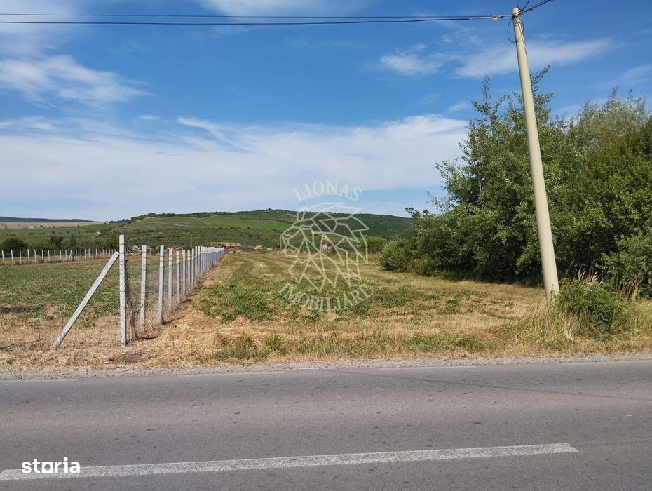 Teren intravilan 1350 mp cu uitlitati-pretabil casa, investitie-Jelna