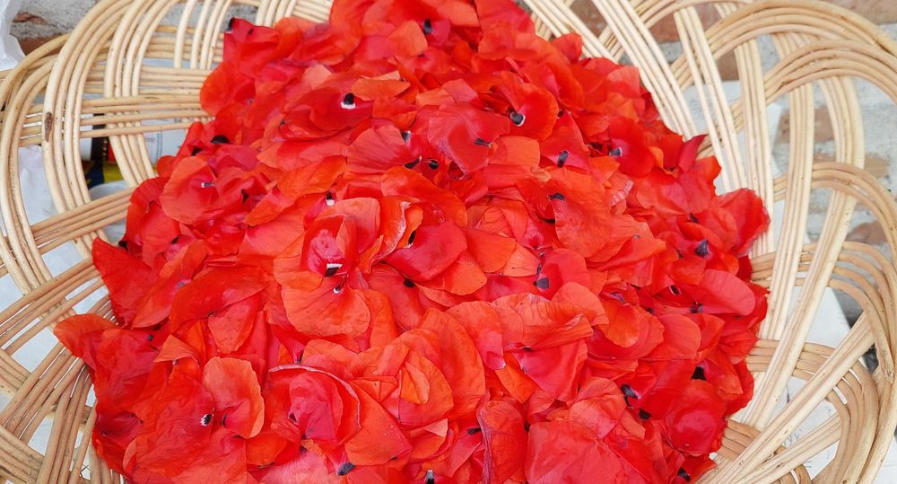 Dulceata de flori de mac