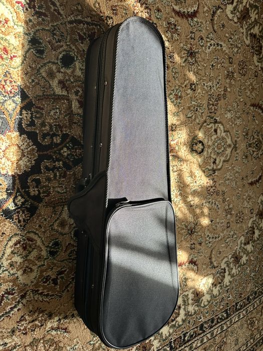 Скрипка в сумке