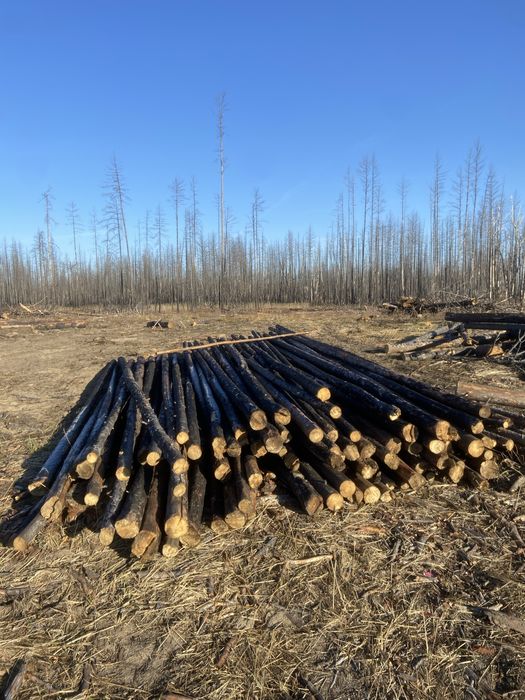 Продам жерди 6 метров