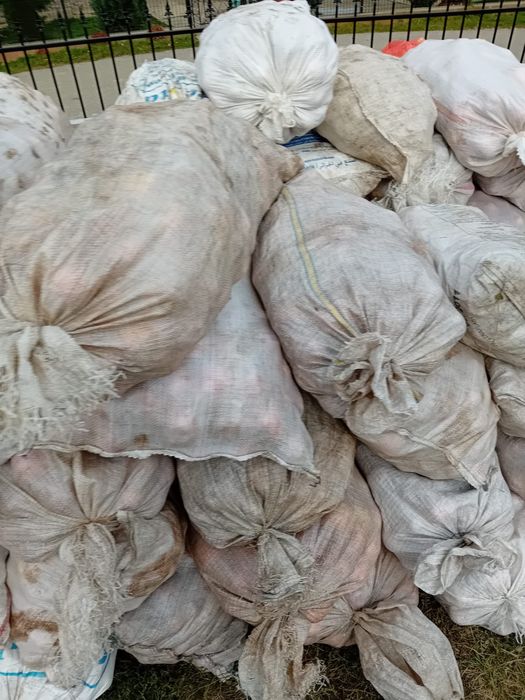 Mere suc/țuica 1 leu/kg disponibil 3300 Kg