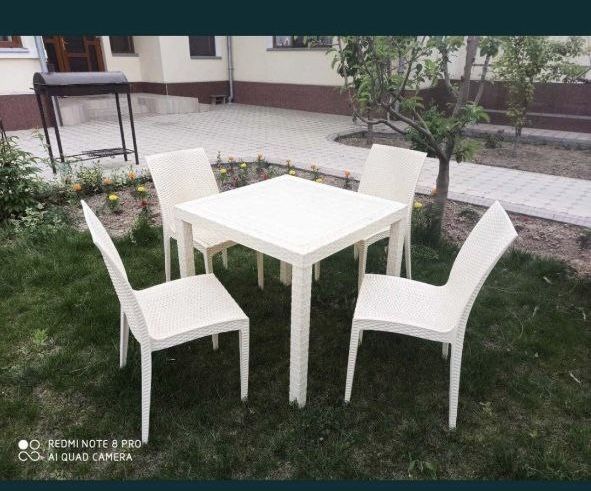 Стол стул для кафе и сад ot 620000