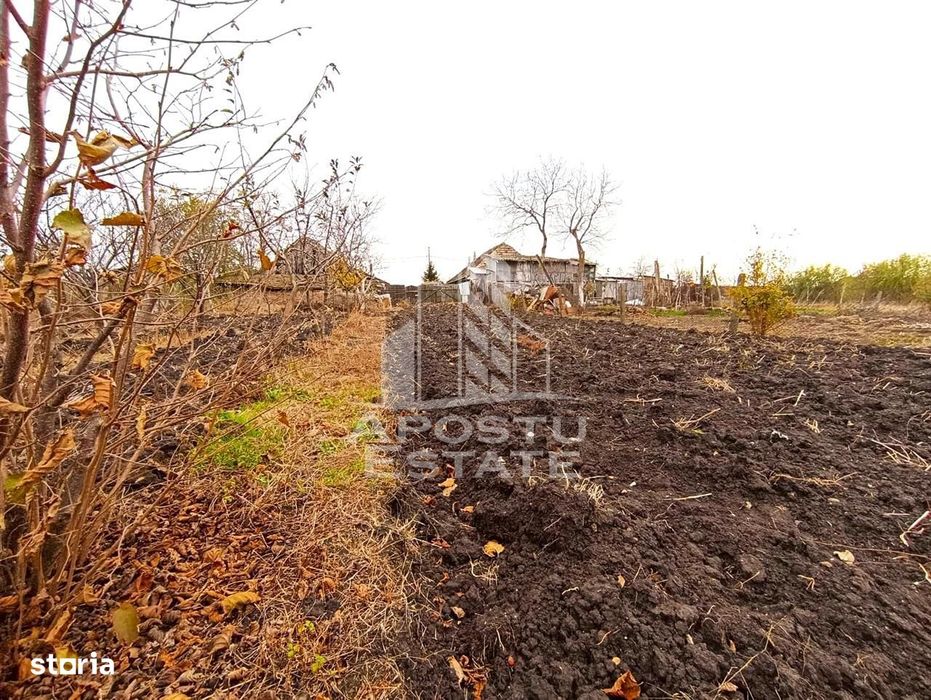 Teren 1000mp Cu Utilitati Dudesti Noi