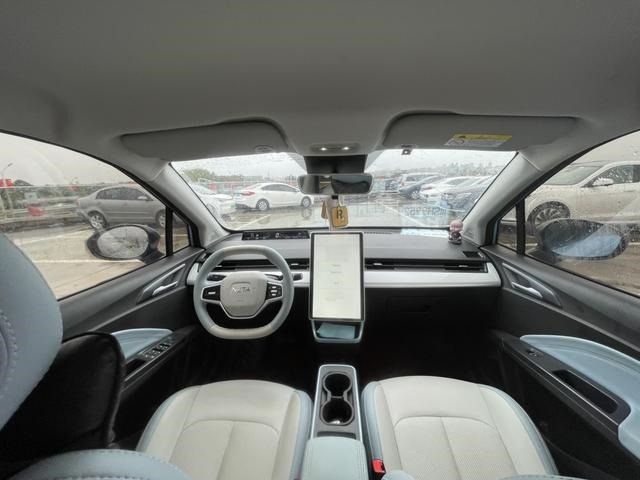 Свой новый электромобиль NETA aYa 2024. Европейка