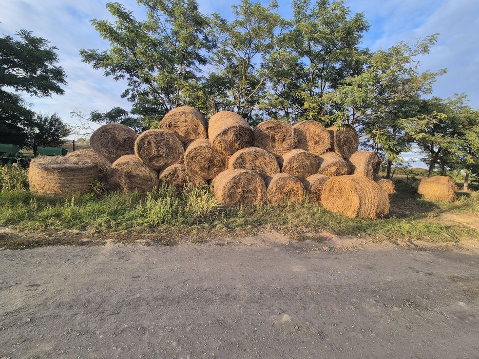 Baloti lucerna 160x120