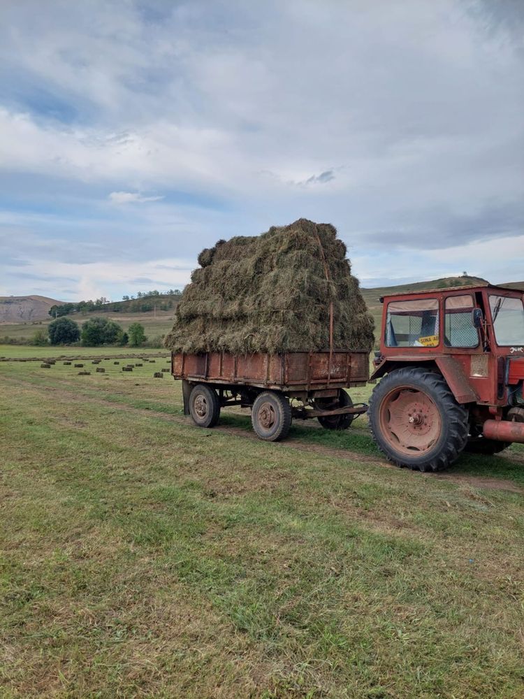 Balot de fân și otavă