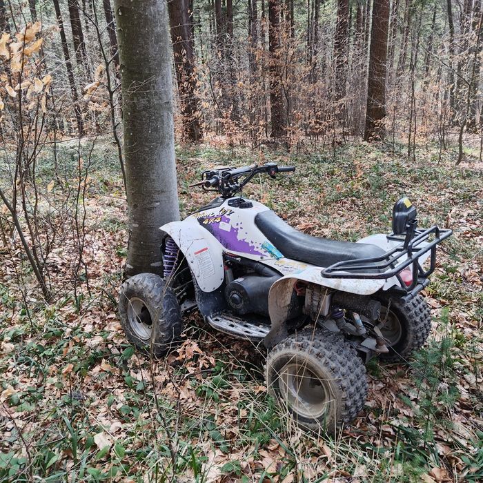 Atv polaris scrambler 400