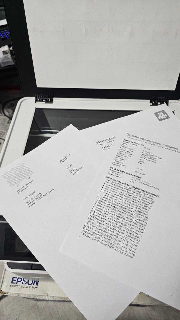 Принтер Epson Epson M 2140