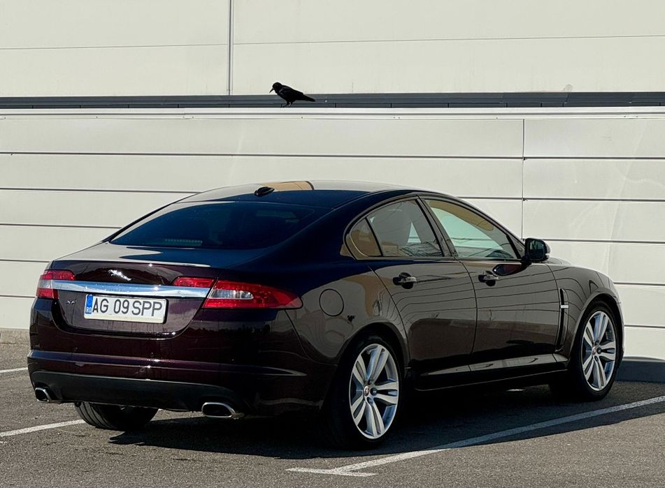 Jaguar xf 3.0d/ 240cp distribuție schimbata