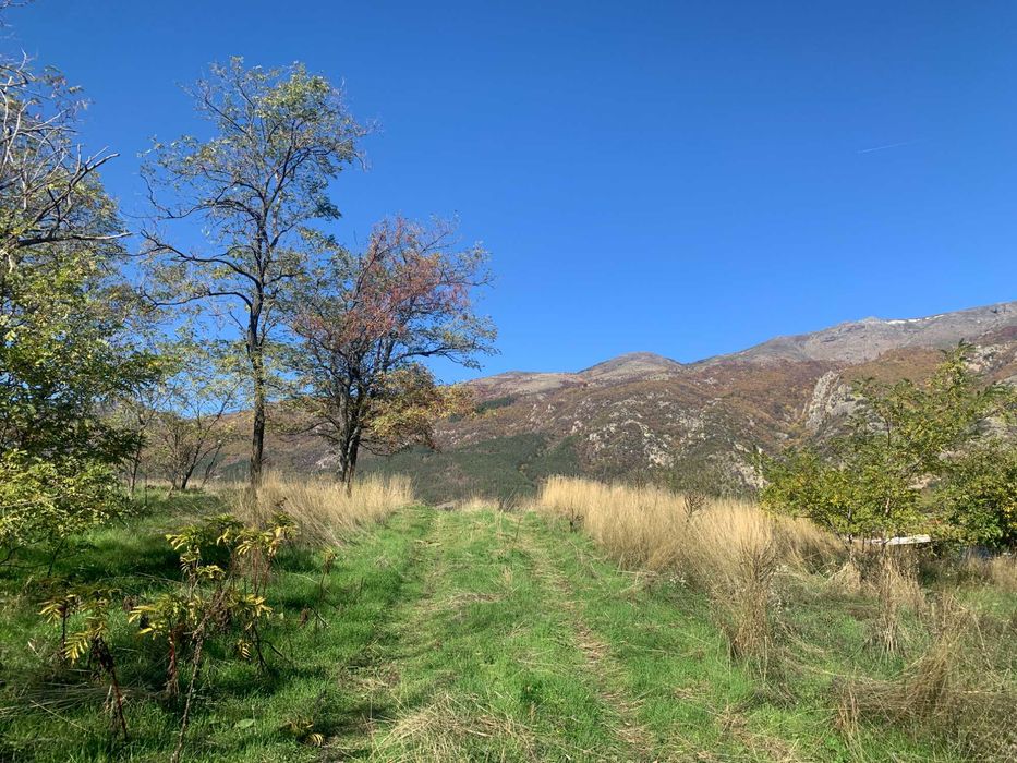 Продава се Парцел в Карлово - 9329 кв.м за 60 €/кв.м - Снимка #2