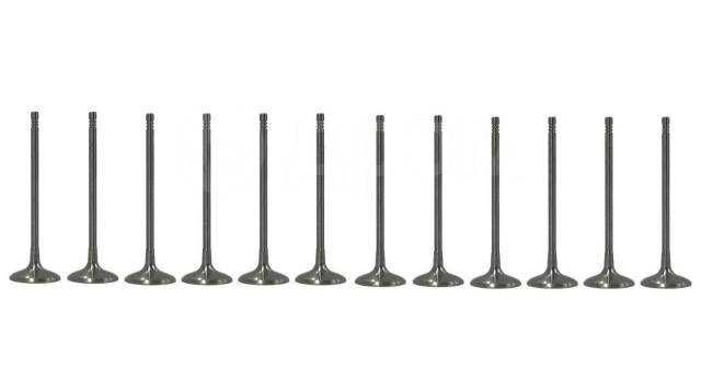 Клапани всмукателни + изпускателни к-т BMW 2003- бензин