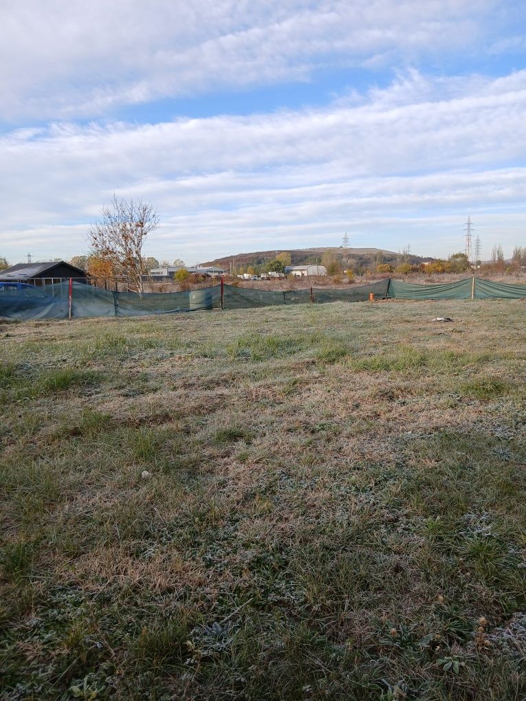 Teren de vânzare Viforata 730 m²