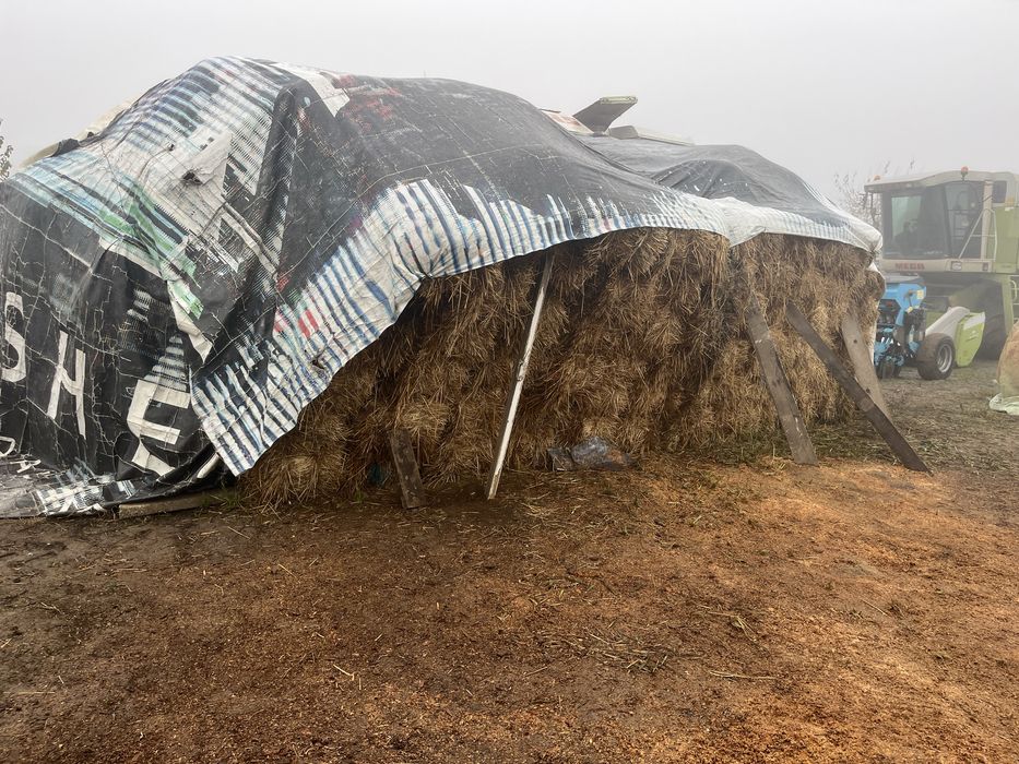 Vand baloti de paie de ovaz