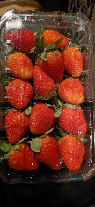 Клубника  свежая