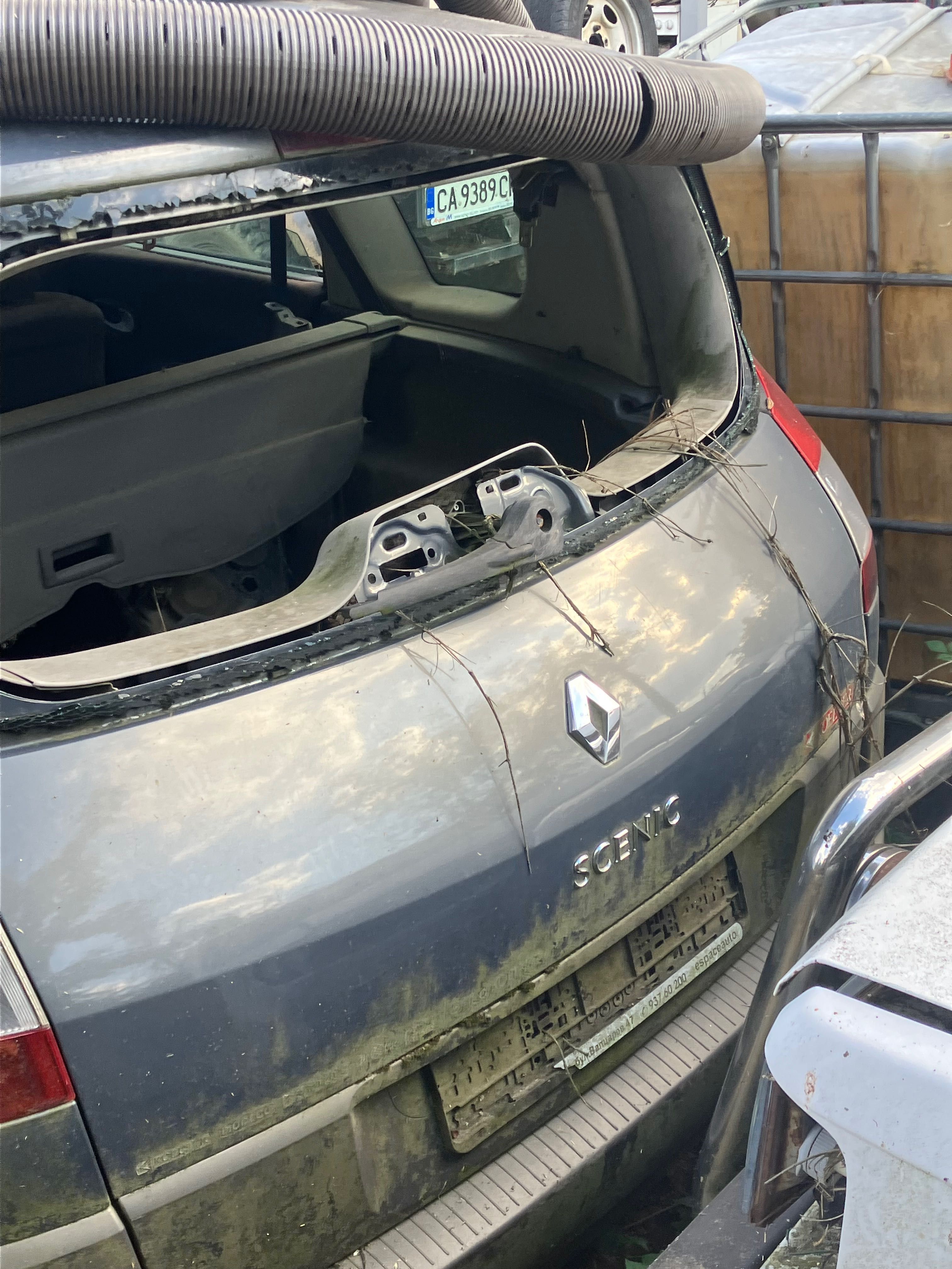Renault Megan Scenic 2005г  1.9dci на части