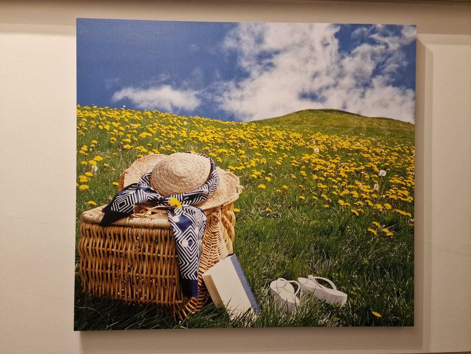 Tablou peisaj Mobexpert